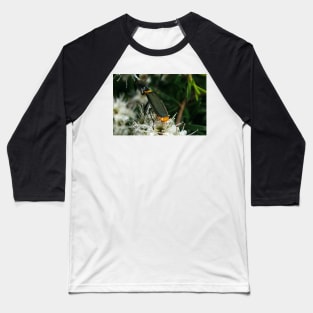 Jewel Beetle Eating Nectar Baseball T-Shirt